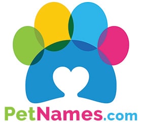 PetNames logo with Paw